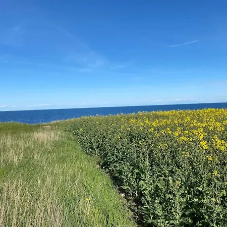 7 Person In Grenaa 펜션 그레나